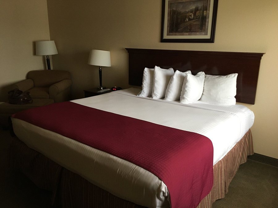Best Western El Quartelejo Inn Suites Scott City Kansas — Guest room