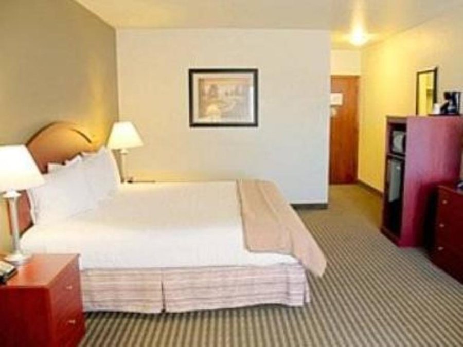 Best Western Elko Inn — Guest room