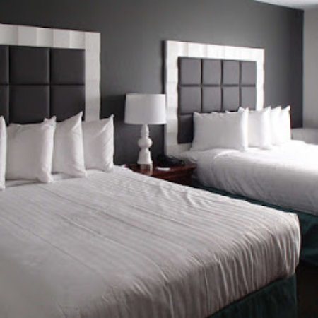 Best Western Erie Inn Suites — Guest room