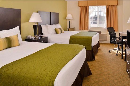 Best Western Executive Inn — Guest room