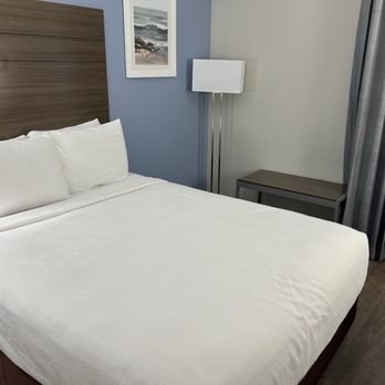 Best Western Ft Lauderdale I 95 Inn — Guest room