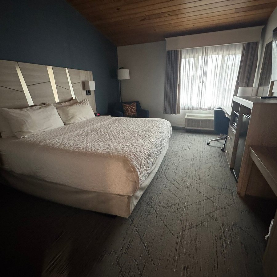 Best Western Hampton Coliseum Inn — Guest room