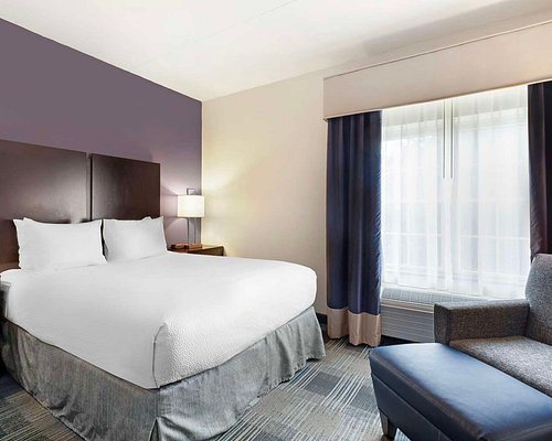 Best Western Hartford Hotel Suites — Guest room