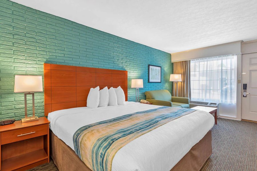 Best Western Hendersonville Inn — Guest room