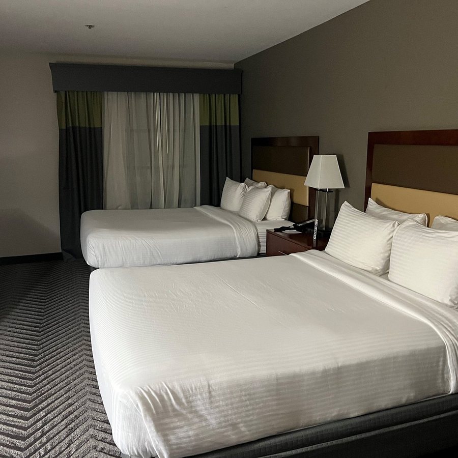 Best Western Inn Suites San Mateo San Francisco Airport — Guest room