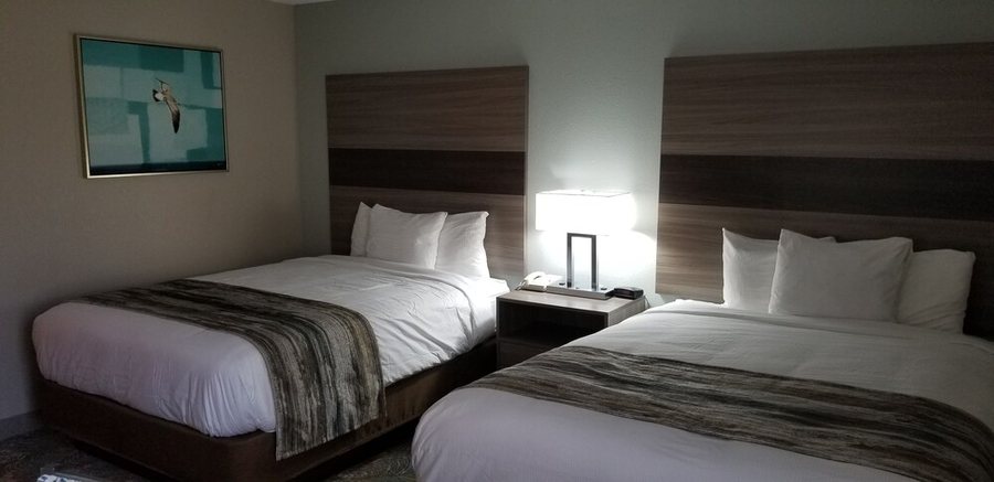 Best Western Intracoastal Inn — Guest room