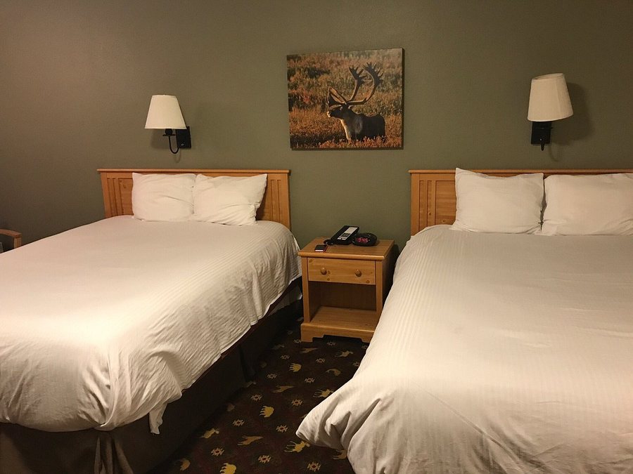 Best Western King Salmon Inn — Guest room