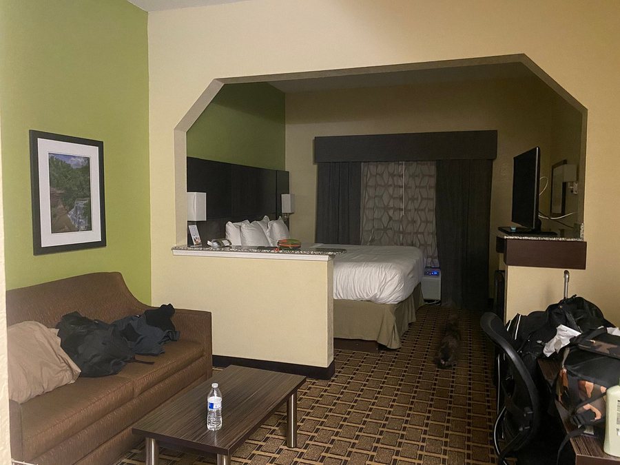 Best Western Knoxville Suites Downtown — Guest room