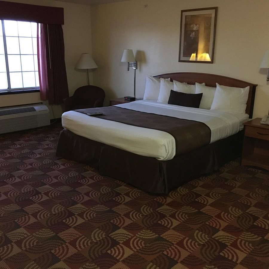 Best Western Laramie Inn Suites — Guest room