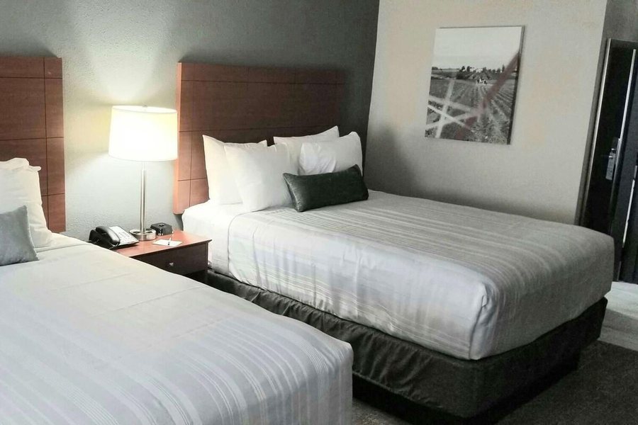 Best Western Lexington Inn — Guest room