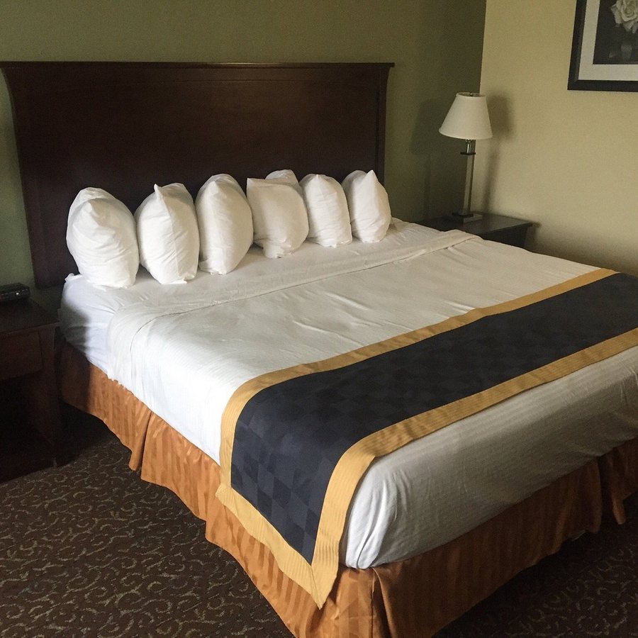 Best Western Mansfield Bellville — Guest room