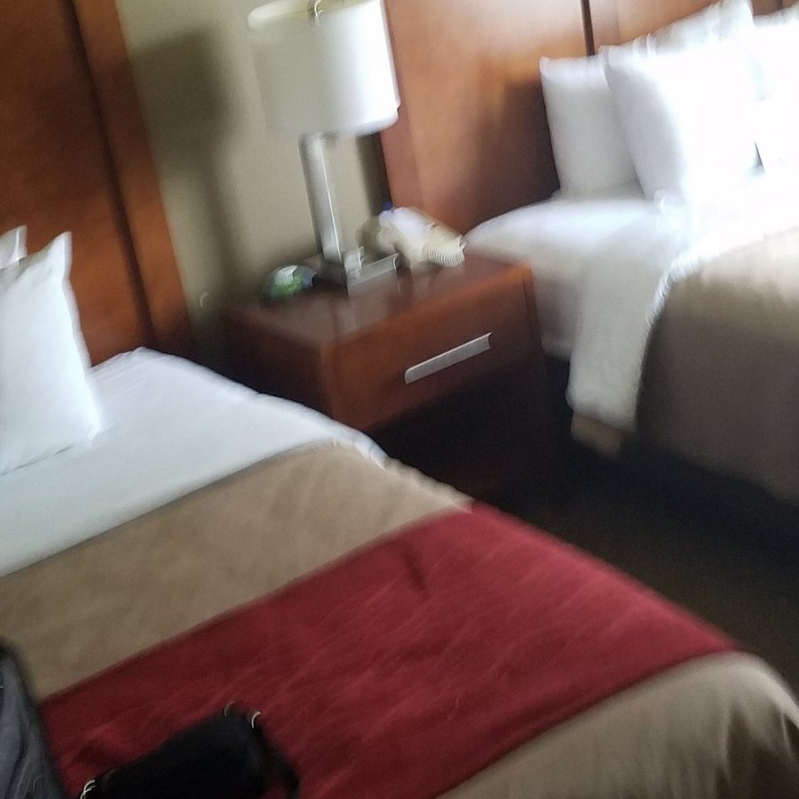 Best Western Morgan City Inn — Guest room