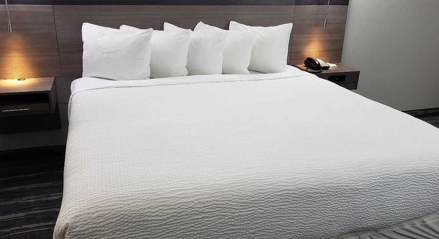 Best Western NSU Inn — Guest room