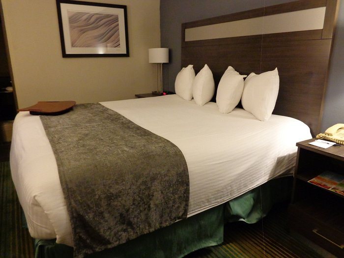 Best Western O Hare Elk Grove Hotel — Guest room
