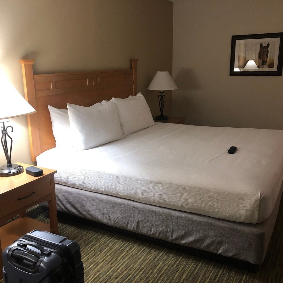 Best Western Paint Pony Lodge — Guest room