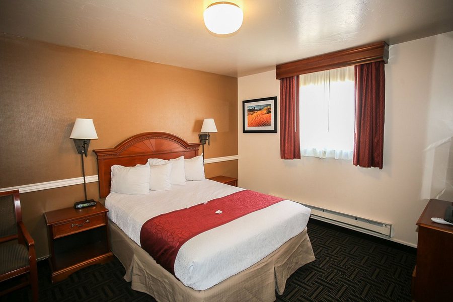 Best Western Paradise Inn — Guest room