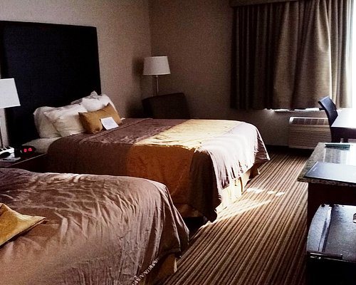 Best Western Park Oasis Inn — Guest room