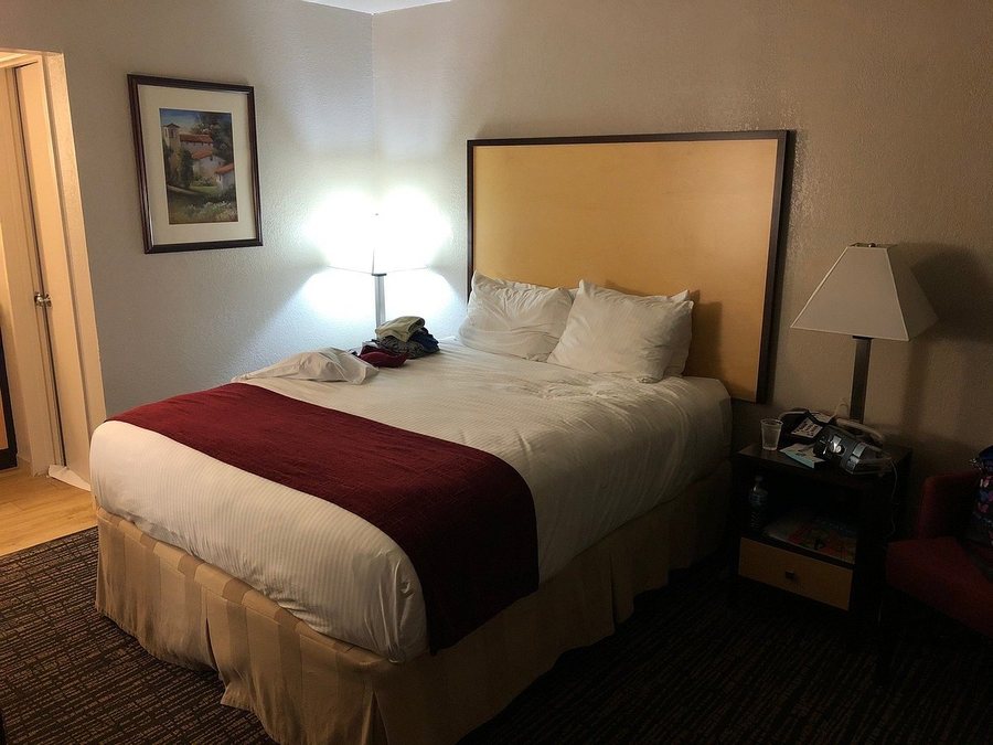 Best Western Petaluma Inn — Guest room