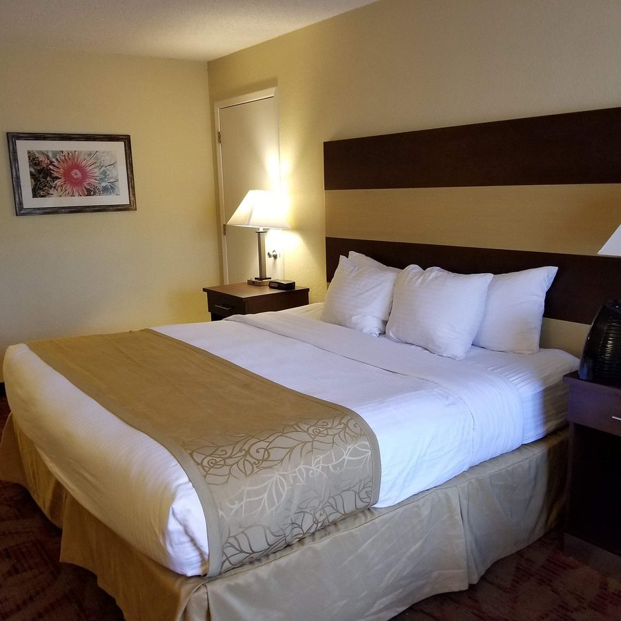 Best Western Pine Springs Inn — Guest room