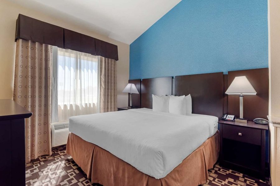 Best Western Plus Arlington North Hotel Suites — Guest room