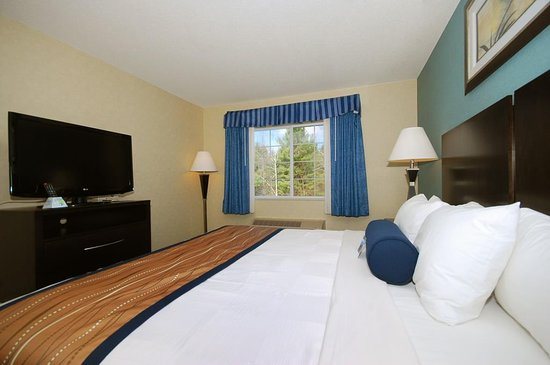 Best Western Plus Berkshire Hills Inn Suites — Guest room