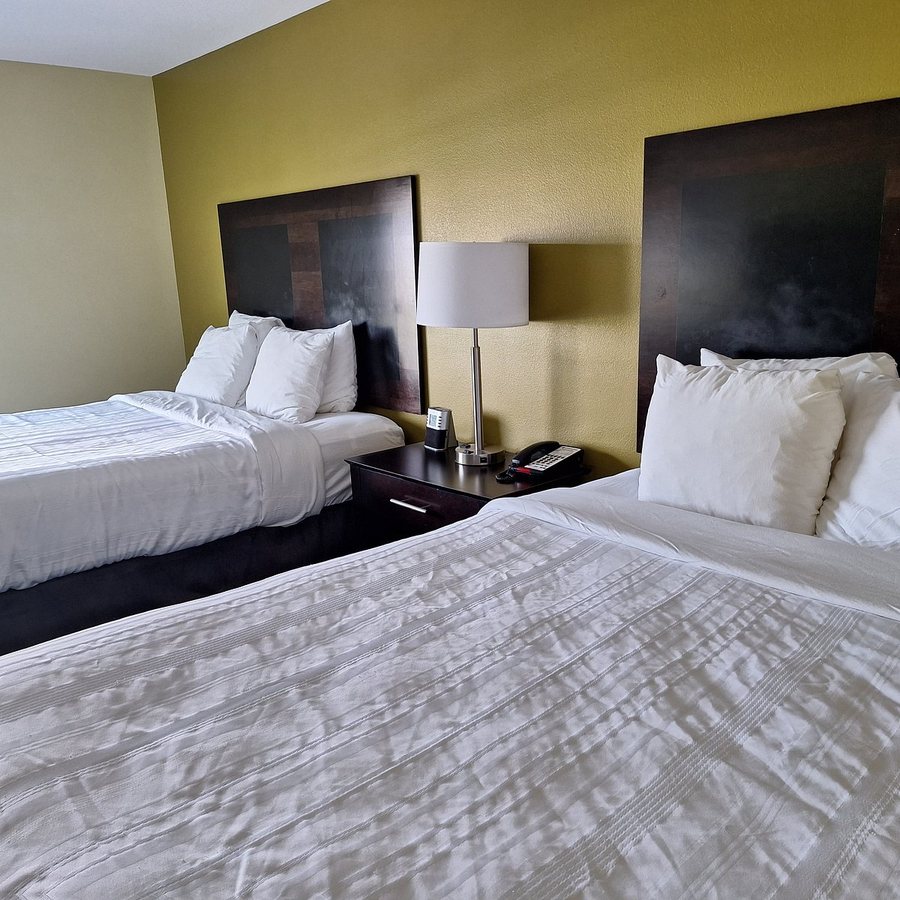 Best Western Plus Brunswick Inn Suites — Guest room