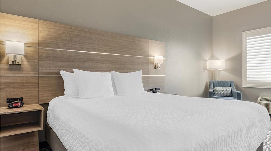 Best Western Plus Chain Of Lakes Inn Suites — Guest room