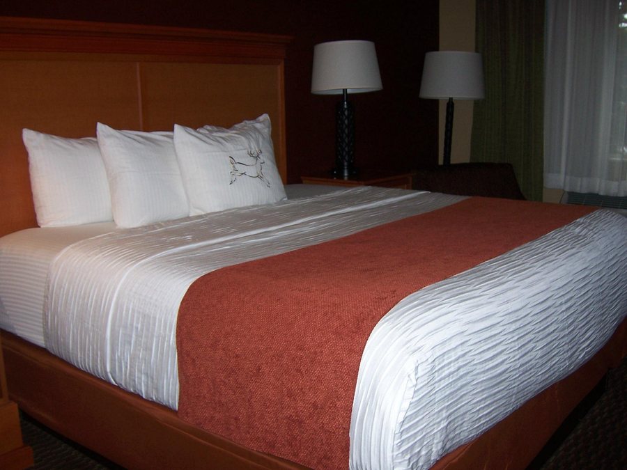 Best Western Plus Deer Park Hotel And Suites — Guest room