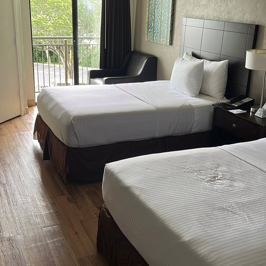 Best Western Plus Deerfield Beach Hotel Suites — Guest room