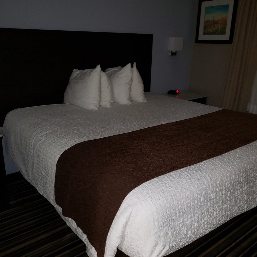 Best Western Plus Diamond Valley Inn — Guest room