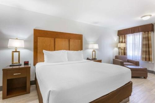 Best Western Plus El Paso Airport Hotel Conference Center — Guest room
