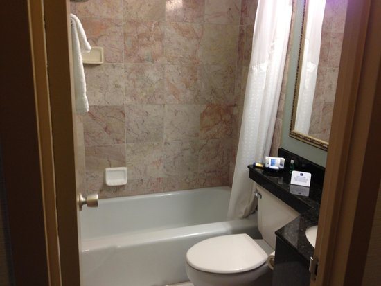 Best Western Plus Fenton — Bathroom