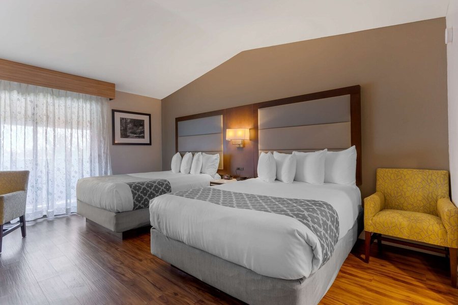 Best Western Plus Forest Park Inn — Guest room