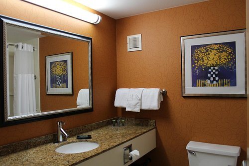 Best Western Plus Fresno Airport Hotel — Bathroom