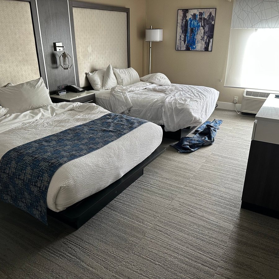 Best Western Plus Greenville I 385 Inn Suites — Guest room