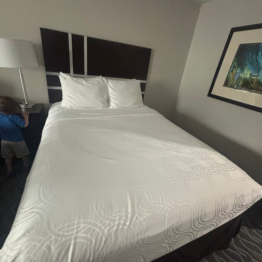 Best Western Plus Hardeeville Inn Suites — Guest room