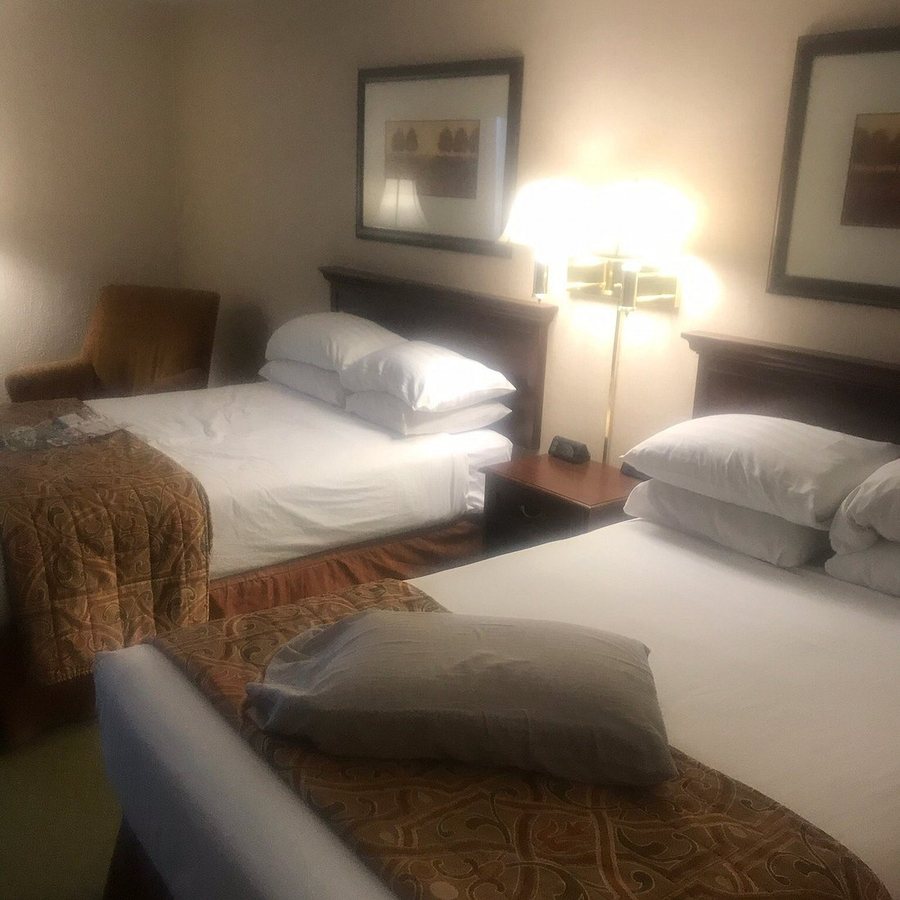 Best Western Plus Indianapolis North At Pyramids — Guest room