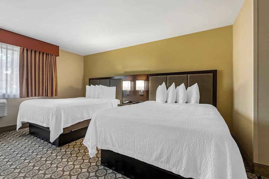 Best Western Plus Inntowner Madison — Guest room