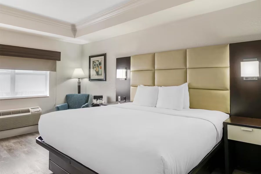 Best Western Plus JFK Inn Suites — Guest room