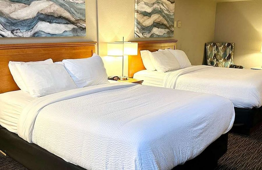 Best Western Plus Kelly Inn — Guest room