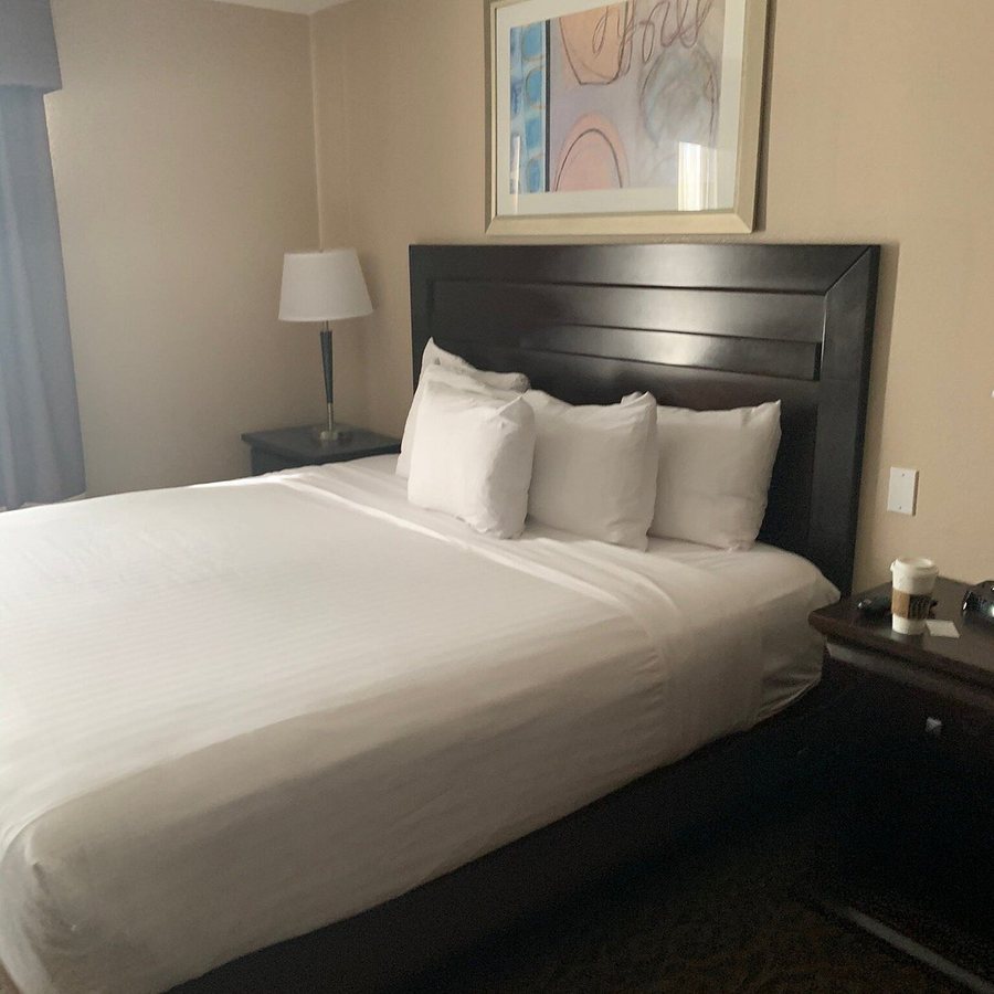 Best Western Plus Las Vegas South Henderson — Guest room