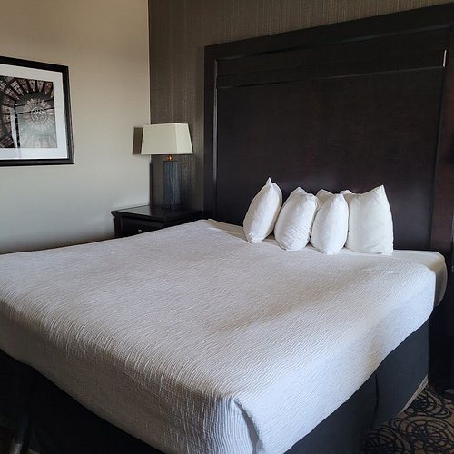 Best Western Plus Midwest Inn — Guest room