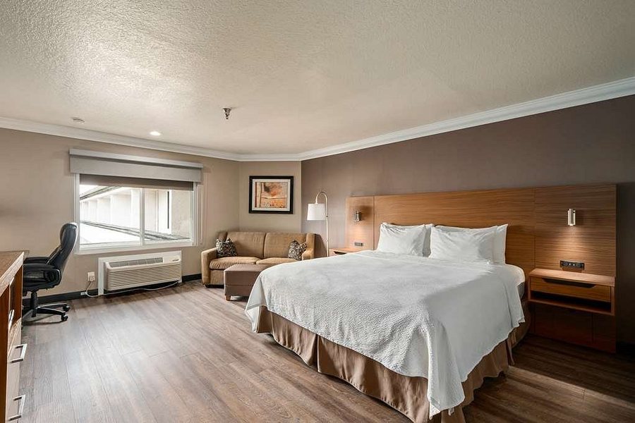 Best Western Plus Newport Mesa Inn — Guest room