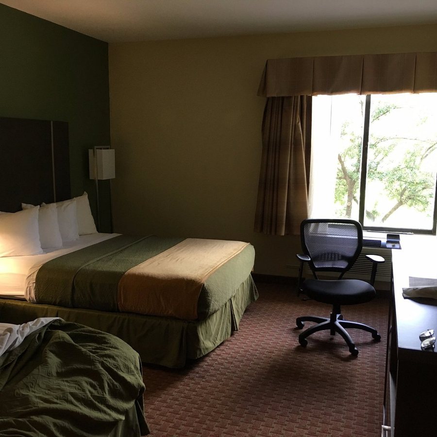 Best Western Plus North Houston Inn Suites — Guest room