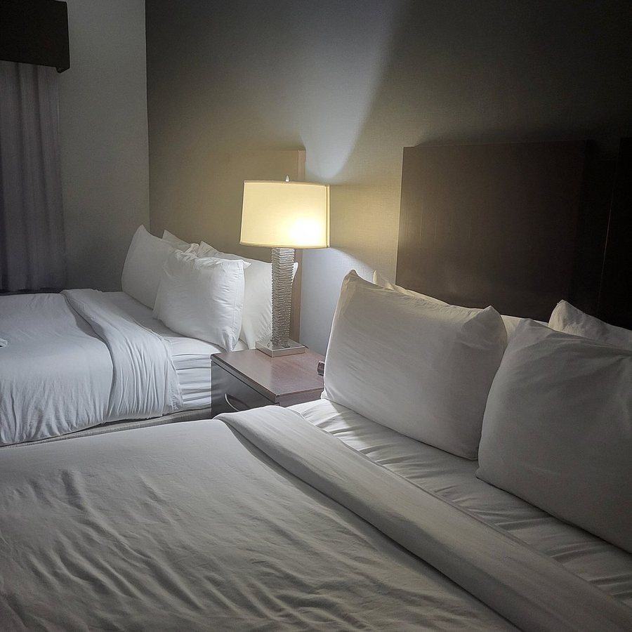 Best Western Plus Olathe Hotel — Guest room