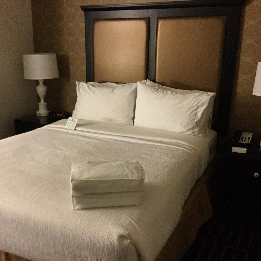 Best Western Plus Palm Court Hotel — Guest room