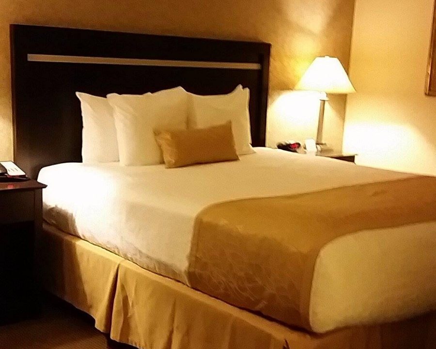 Best Western Plus Pleasanton Hotel — Guest room