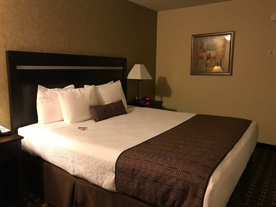 Best Western Plus Pleasanton Inn — Guest room
