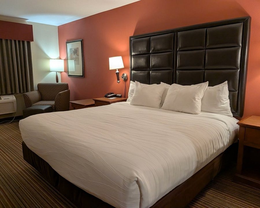 Best Western Plus Rama Inn Suites — Guest room