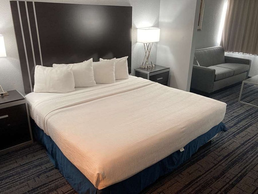 Best Western Plus Reading Inn Suites — Guest room